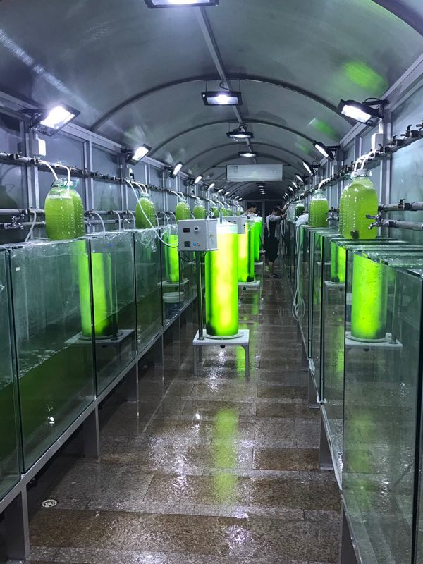 光生物反應器