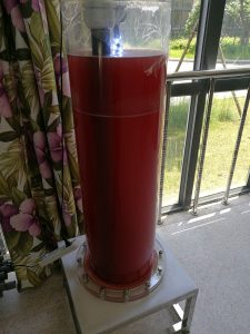 簡易光合細菌培養(yǎng)光生物反應器