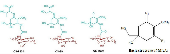 防曬材料分子結構