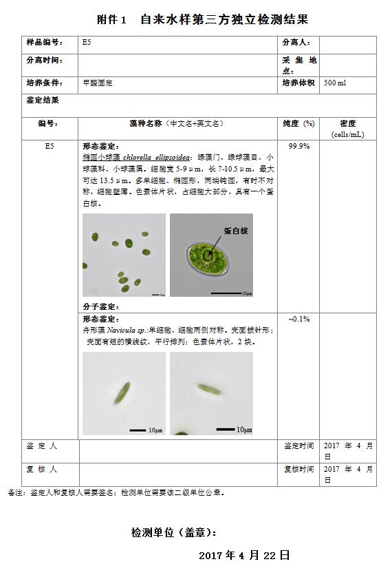 藻類鑒定報(bào)告