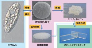 圖18. 日本產(chǎn)業(yè)技術(shù)綜合研究所、NEC公司與宮崎大學(xué)等單位聯(lián)合開發(fā)了利用裸藻生產(chǎn)生物塑料的技術(shù)。