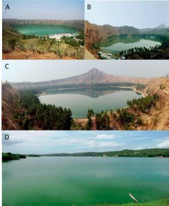 圖9.緬甸的天然螺旋藻湖泊。A．Twyn Taung火山湖，B.Twyn Ma火山湖，C. Taung Pyauk火山湖，D.Ye Kharr湖。（by Min Thein et al.）