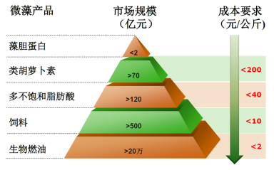微藻產(chǎn)業(yè)化應(yīng)用前景