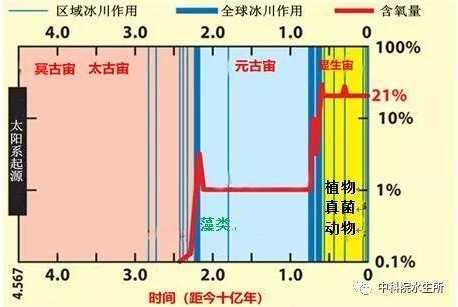圖3 藻類出現(xiàn)提高早期地球大氣的氧含量并促進了高等生物進化(圖片來源于網(wǎng)絡(luò))