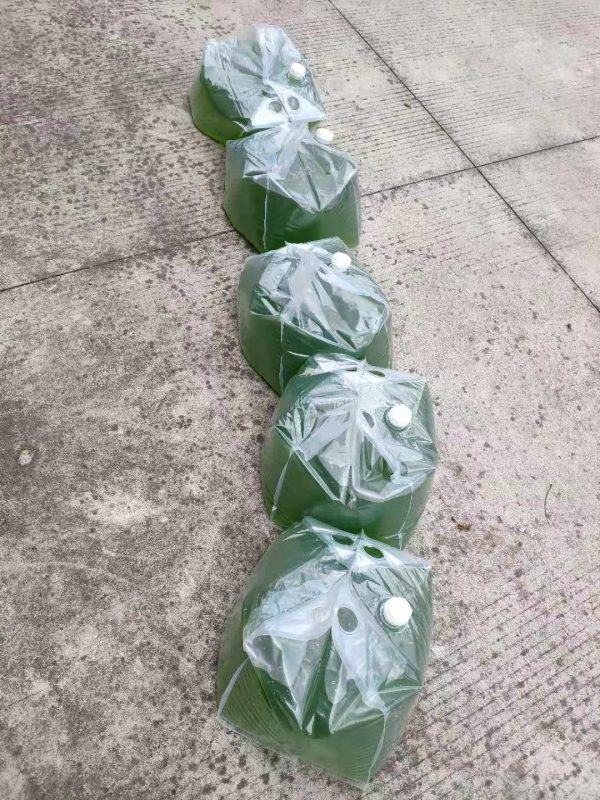 水產(chǎn)養(yǎng)殖擴培用小球藻和培養(yǎng)基套裝產(chǎn)品 - 圖片 7