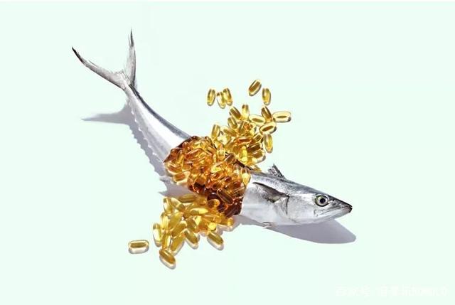同是Omega-3來源，微藻可否替代魚類？