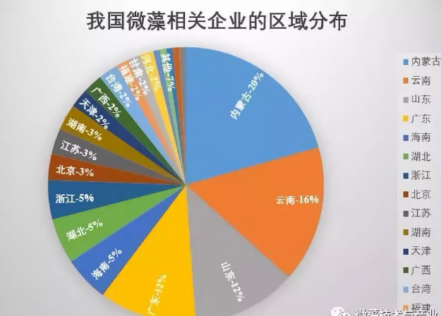 我國微藻企業(yè)及產業(yè)的最新分布概況