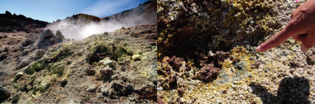 位于冰島東南部Hekla的Landmannalaugar（蘭德曼納勞卡高地），為歐洲著名的溫泉區(qū)域。該處分離得到的為G. sulphararia和G. maxima。