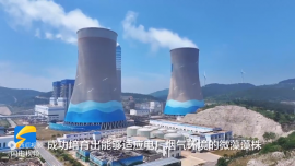 電廠如何用微藻固碳？
